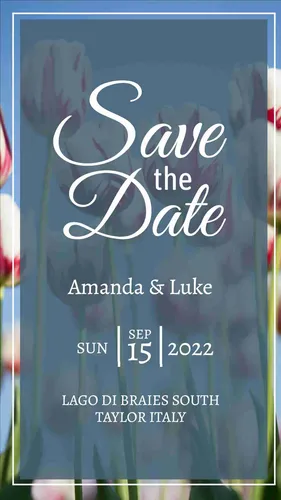 Color Palettes - Dimgray and White Color Scheme Color Palettes - Dimgray and White Color Scheme