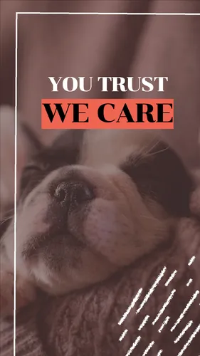 Color Palettes - Dimgray and Black Color Scheme