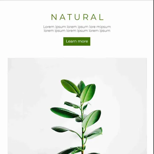 Color Palettes - White and Darkolivegreen Color Scheme