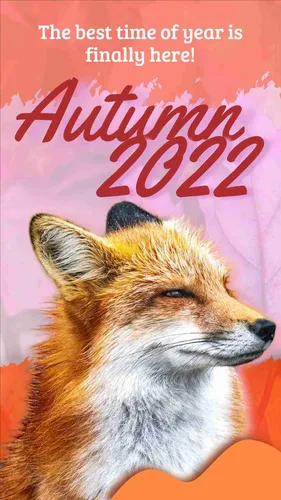 Color Palettes - Thistle and Salmon Color Scheme Color Palettes - Thistle and Salmon Color Scheme