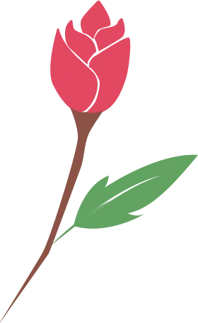 Color Palettes - Indianred and Mediumseagreen Color Scheme