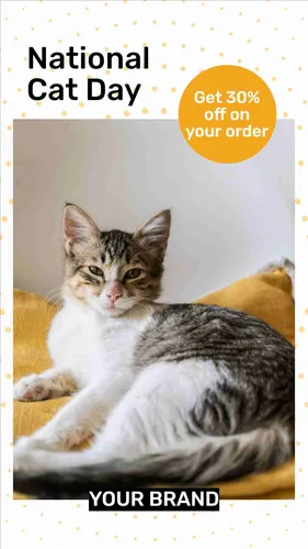 Color Palettes - White and Rosybrown Color Scheme