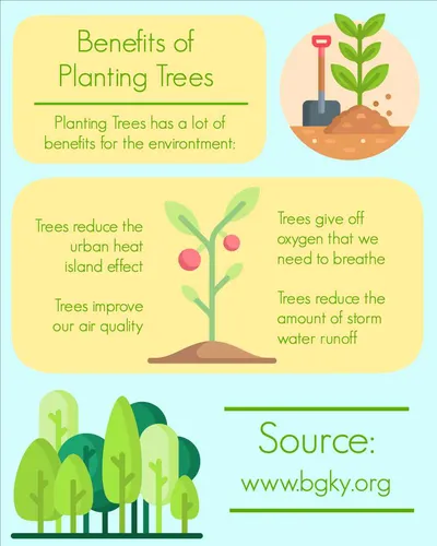 Color Palettes - Palegoldenrod and Lightcyan Color Scheme