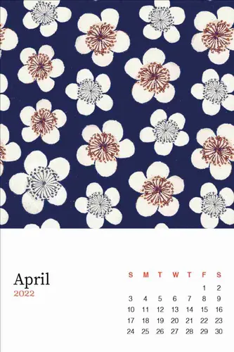 Color Palettes - White and Midnightblue Color Scheme Color Palettes - White and Midnightblue Color Scheme