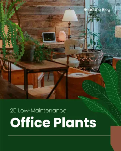Color Palettes - Darkgreen and Sienna Color Scheme Color Palettes - Darkgreen and Sienna Color Scheme