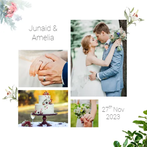 Color Palettes - White and Dimgray Color Scheme Color Palettes - White and Dimgray Color Scheme