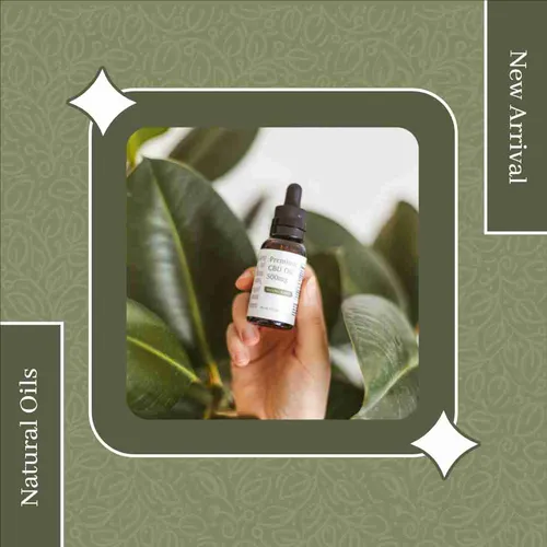 Color Palettes - Darkolivegreen and Lavender Color Scheme