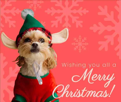 Color Palettes - Tomato and Bisque Color Scheme Color Palettes - Tomato and Bisque Color Scheme