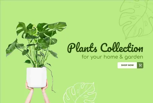 Color Palettes - Palegreen and Darkgreen Color Scheme Color Palettes - Palegreen and Darkgreen Color Scheme