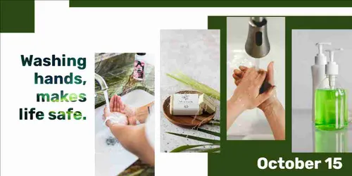 Color Palettes - White and Darkgreen Color Scheme Color Palettes - White and Darkgreen Color Scheme