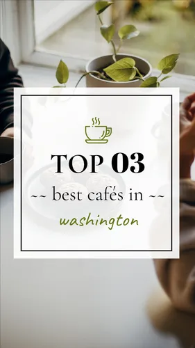 Color Palettes - Snow and Darkgray Color Scheme