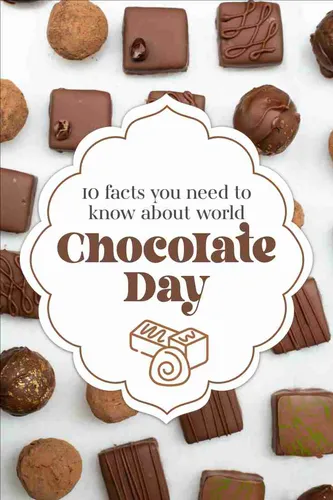 Color Palettes - White and Sienna Color Scheme Color Palettes - White and Sienna Color Scheme