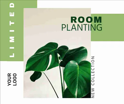 Color Palettes - White and Darkseagreen Color Scheme Color Palettes - White and Darkseagreen Color Scheme