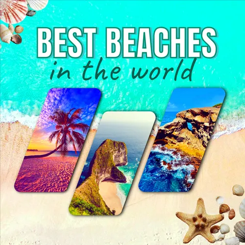 Color Palettes - White and Cyan Color Scheme