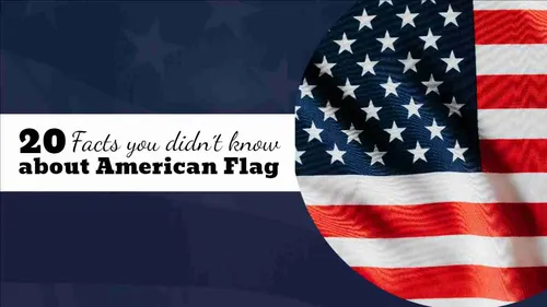 Color Palettes - Midnightblue and White Color Scheme