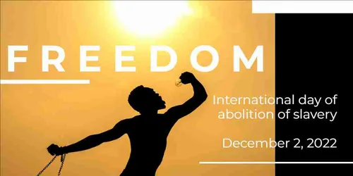 Color Palettes - Sandybrown and Black Color Scheme