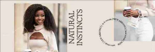 Color Palettes - Gainsboro and Gray Color Scheme