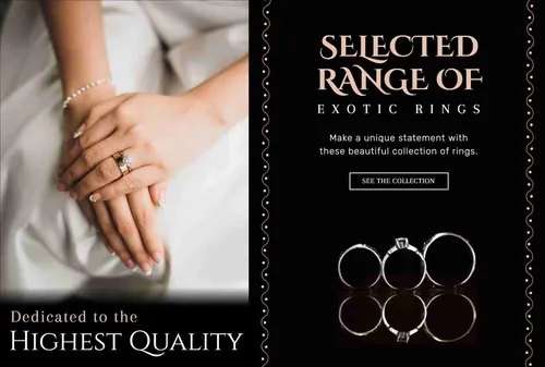 Color Palettes - Black and Gainsboro Color Scheme Color Palettes - Black and Gainsboro Color Scheme