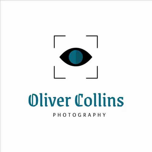 Color Palettes - White and Darkslategray Color Scheme