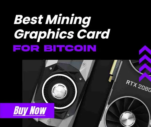 Color Palettes - Black and White Color Scheme