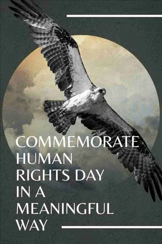 Color Palettes - Darkslategray and White Color Scheme