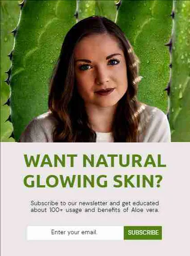 Color Palettes - Linen and Darkgreen Color Scheme