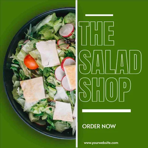 Color Palettes - Darkolivegreen and White Color Scheme