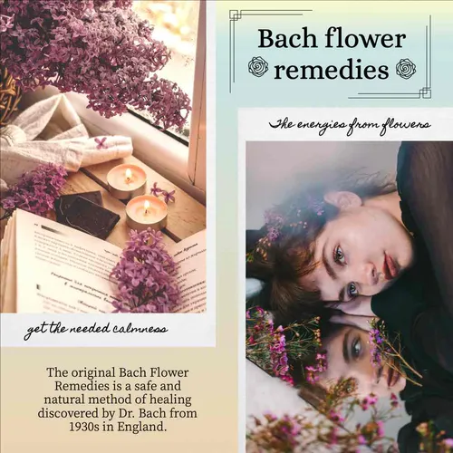 Color Palettes - Whitesmoke and Rosybrown Color Scheme Color Palettes - Whitesmoke and Rosybrown Color Scheme