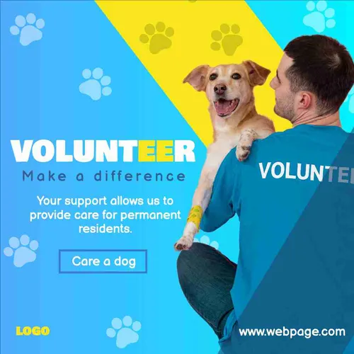 Color Palettes - Cornflowerblue and Teal Color Scheme