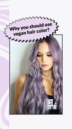 Color Palettes - Whitesmoke and Darkseagreen Color Scheme Color Palettes - Whitesmoke and Darkseagreen Color Scheme