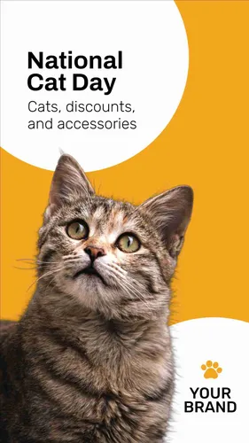 Color Palettes - White and Goldenrod Color Scheme