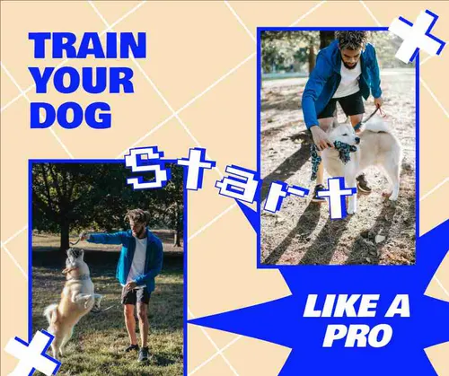 Color Palettes - Bisque and Blue Color Scheme Color Palettes - Bisque and Blue Color Scheme