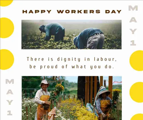 Color Palettes - White and Darkslategray Color Scheme Color Palettes - White and Darkslategray Color Scheme