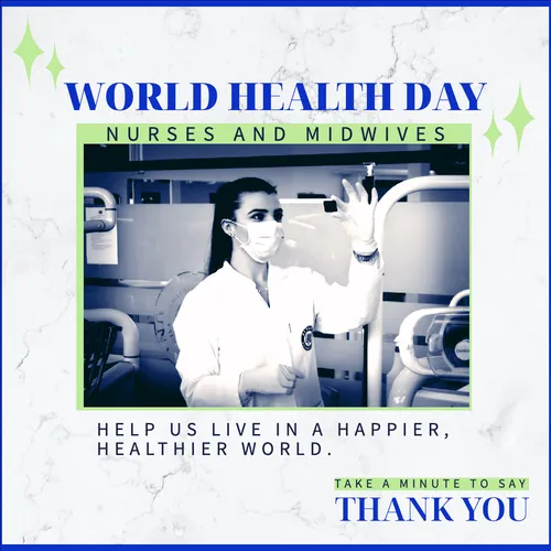 Color Palettes - Whitesmoke and Darkgray Color Scheme