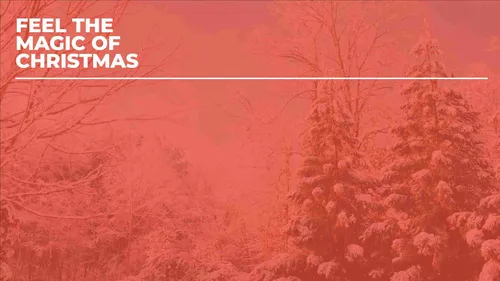 Color Palettes - Indianred and White Color Scheme Color Palettes - Indianred and White Color Scheme