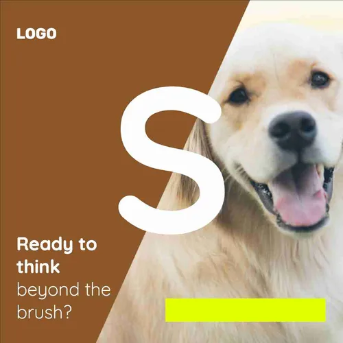Color Palettes - Sienna and White Color Scheme Color Palettes - Sienna and White Color Scheme