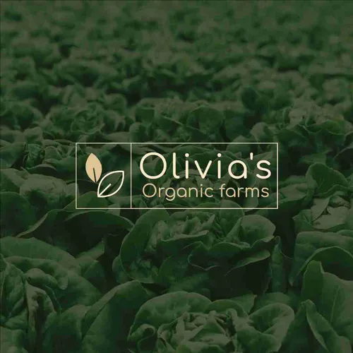 Color Palettes - Black and Burlywood Color Scheme