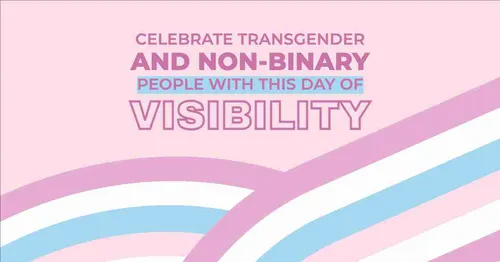 Color Palettes - Mistyrose and Dimgray Color Scheme