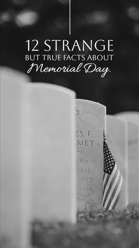 Color Palettes - Darkgray and Black Color Scheme