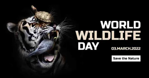 Color Palettes - Black and White Color Scheme