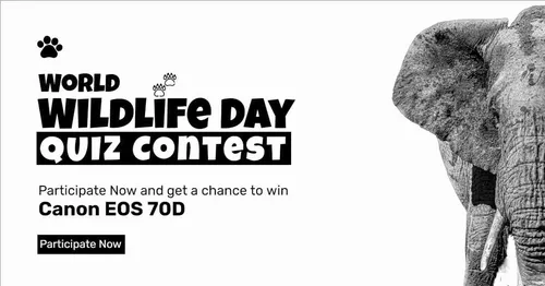 Color Palettes - White and Black Color Scheme Color Palettes - White and Black Color Scheme