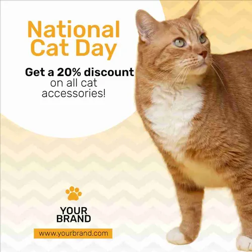 Color Palettes - White and Sienna Color Scheme