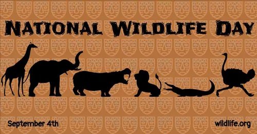 Color Palettes - Peru and Black Color Scheme Color Palettes - Peru and Black Color Scheme