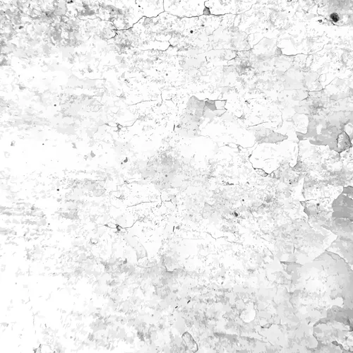 Color Palettes - White and Darkgray Color Scheme Color Palettes - White and Darkgray Color Scheme