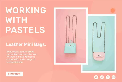 Color Palettes - Lightsalmon and White Color Scheme Color Palettes - Lightsalmon and White Color Scheme