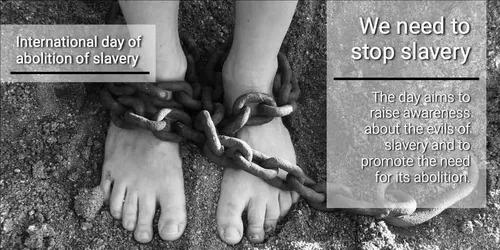 Color Palettes - Darkgray and Darkslategray Color Scheme