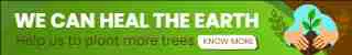 Color Palettes - Yellowgreen and Darkolivegreen Color Scheme Color Palettes - Yellowgreen and Darkolivegreen Color Scheme