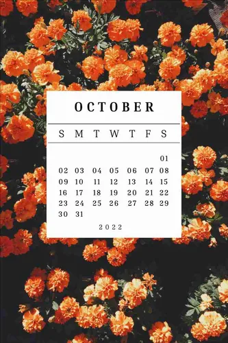 Color Palettes - Black and White Color Scheme Color Palettes - Black and White Color Scheme