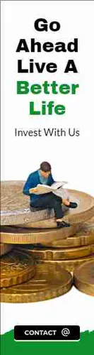 Color Palettes - White and Saddlebrown Color Scheme