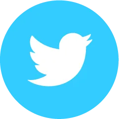 Color Palettes - Deepskyblue and White Color Scheme